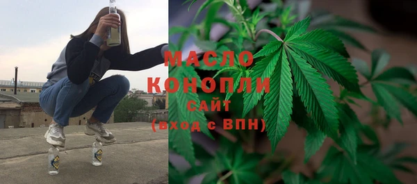 mdpv Богородицк
