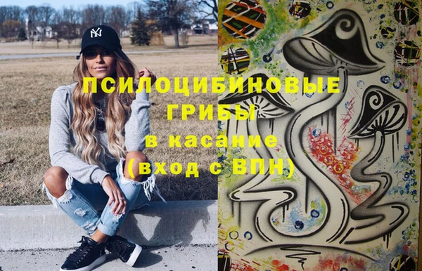 таблы Богданович