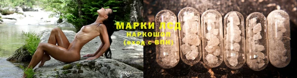таблы Богданович