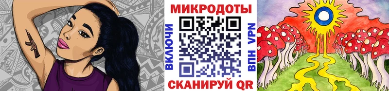 наркошоп  Бородино  Псилоцибиновые грибы Cubensis 